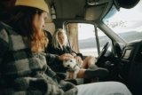 How Do You Prepare Your Pet for a Long Road Trip?